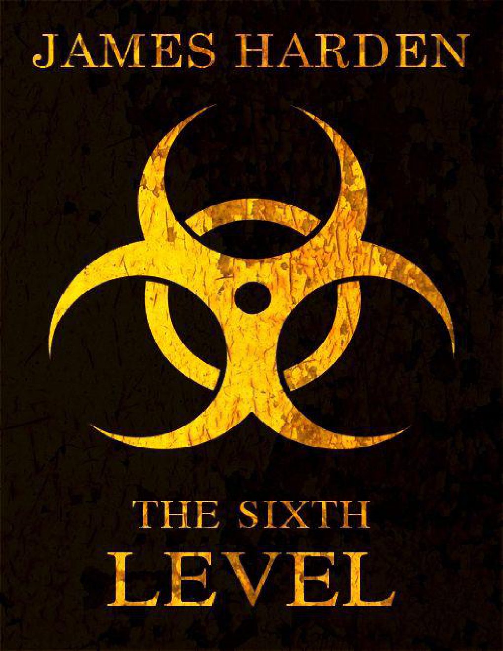 Cover of The Sixth Level (2011)