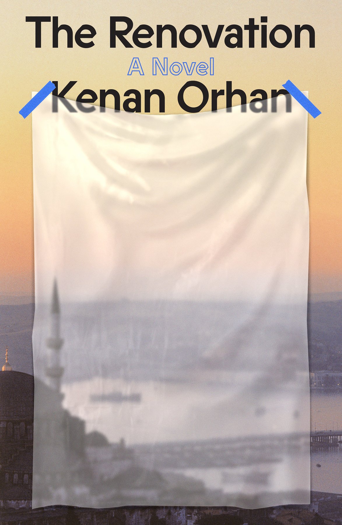 Cover of The Renovation