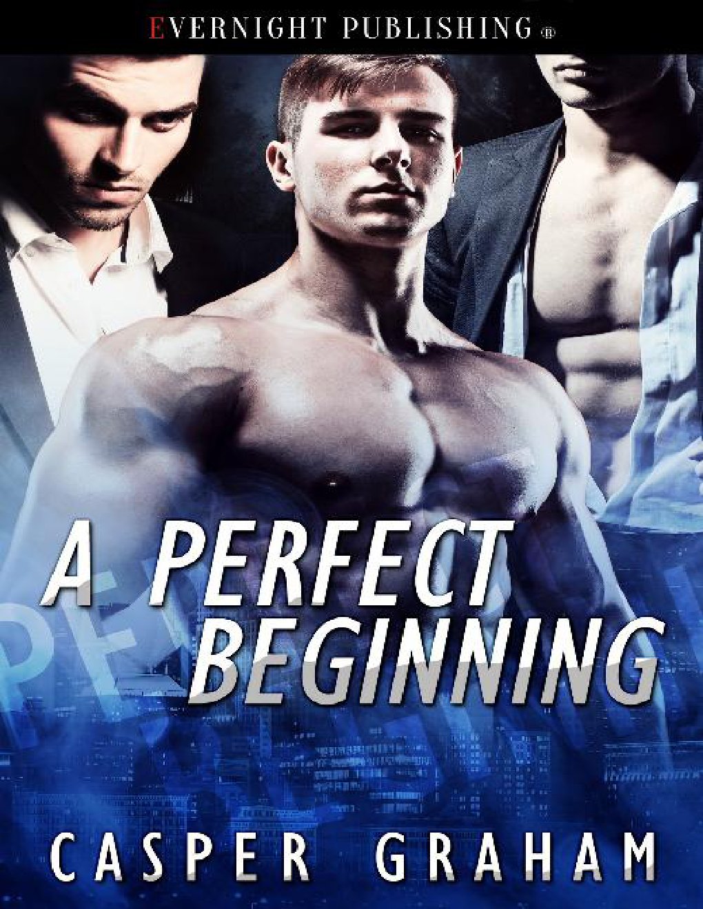 Cover of A Perfect Beginning