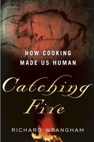 Cover of Catching Fire: How Cooking Made Us Human