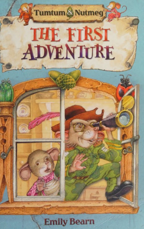 Cover of Tumtum and Nutmeg (2008)