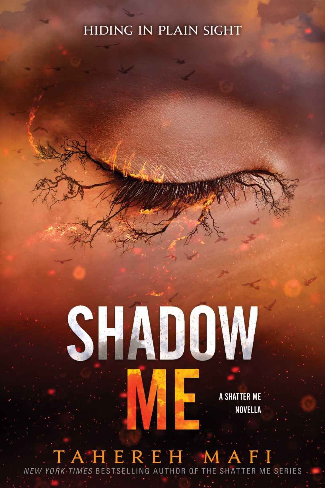 Cover of Shadow Me