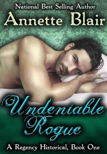 Cover of Undeniable Rogue (2002)