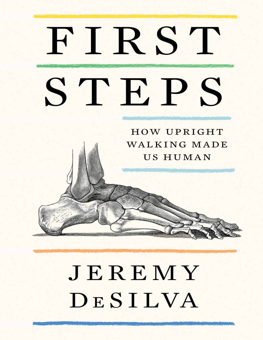 Cover of First Steps
