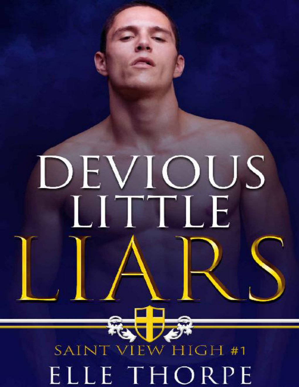 Cover of Devious Little Liars: A High School Bully Romance (Saint View High Book 1)