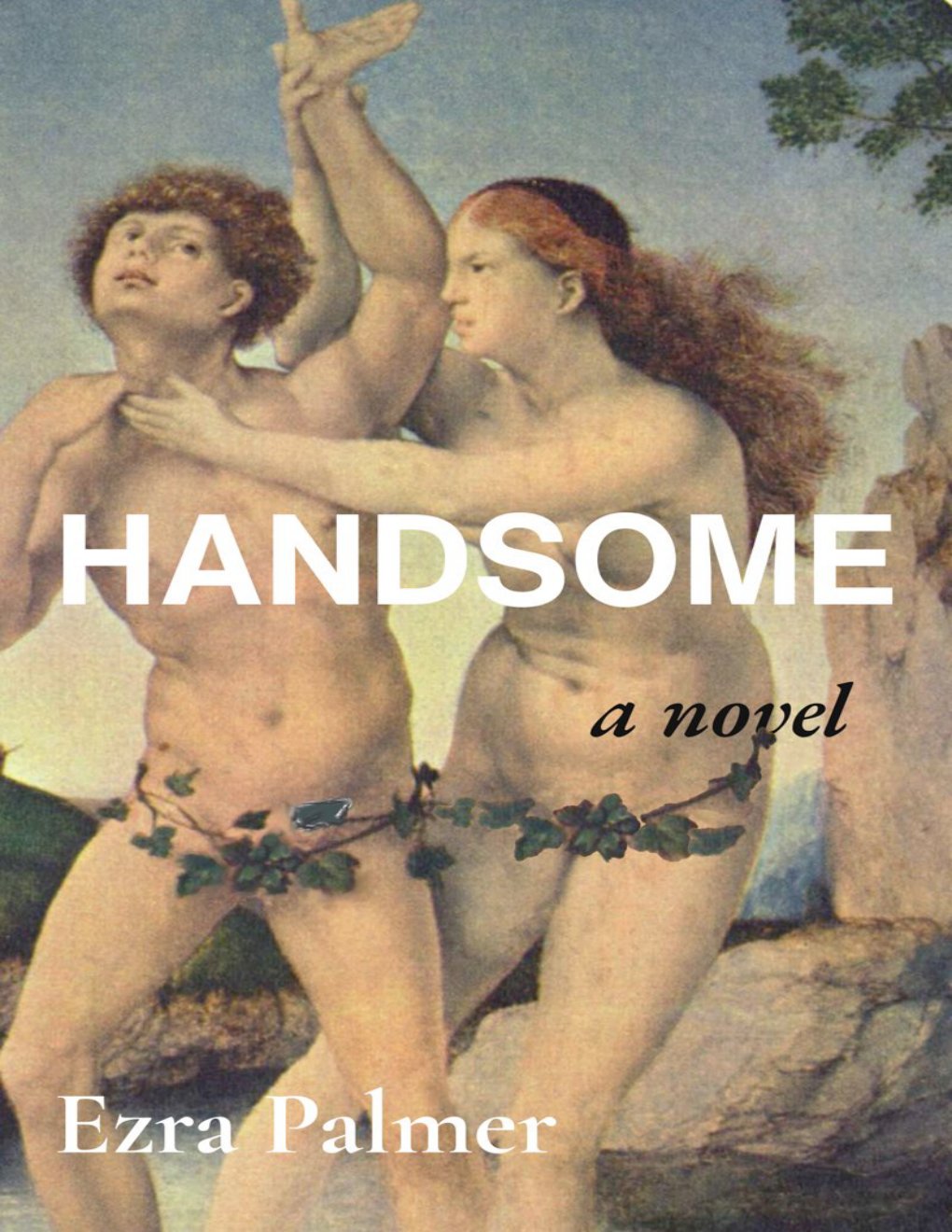 Cover of Handsome