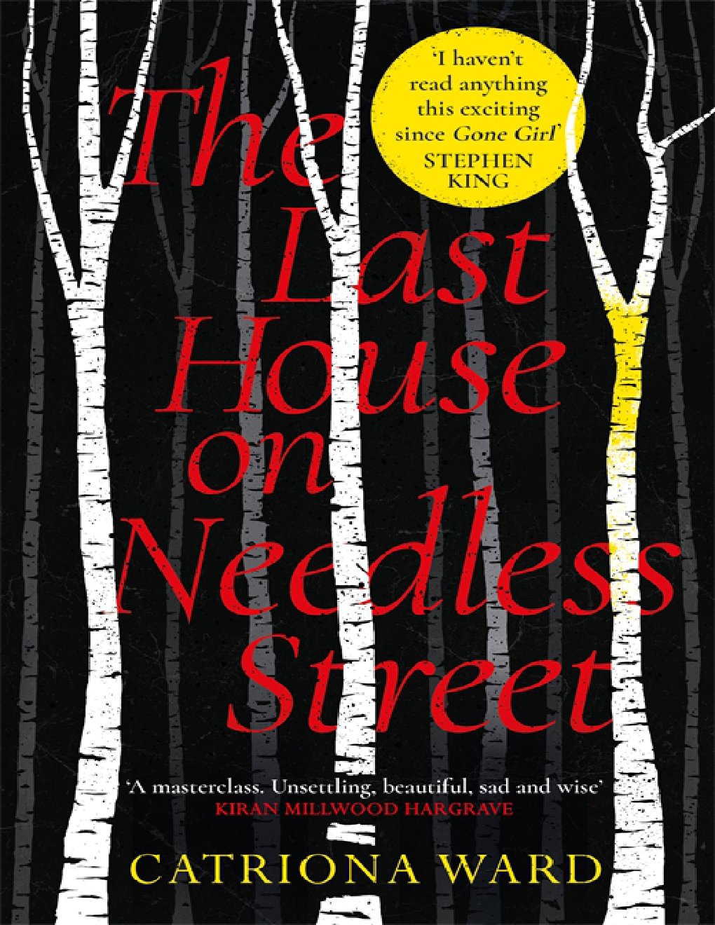 Cover of The Last House on Needless Street