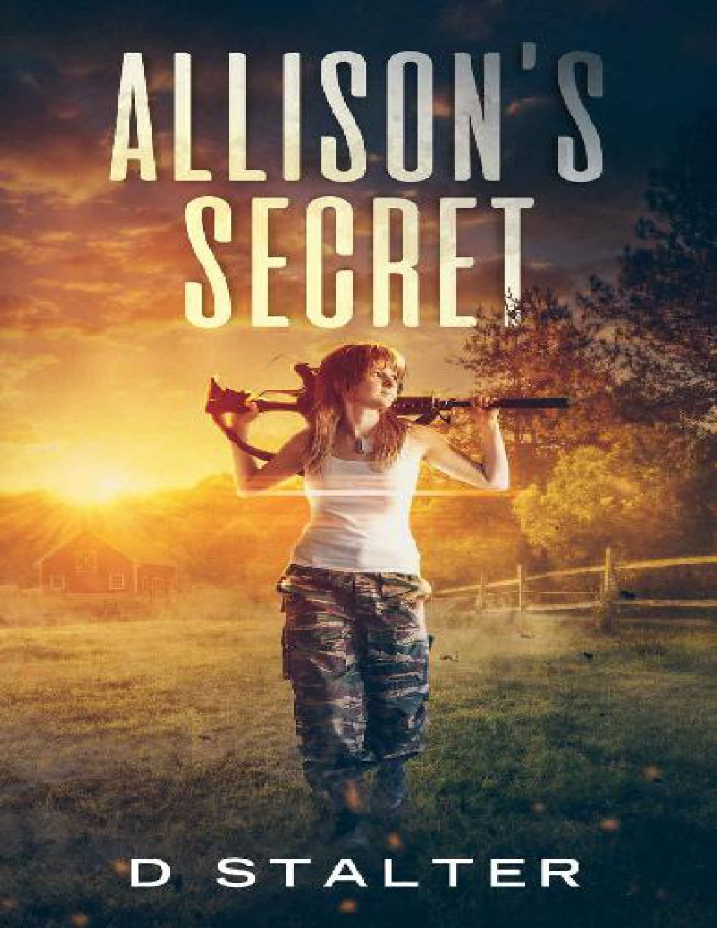 Cover of Allison's Secret