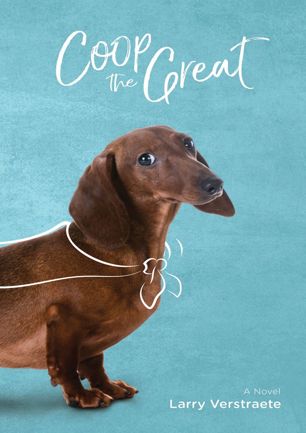 Cover of Coop the Great (1900)
