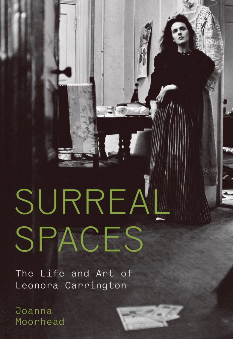 Cover of Surreal Spaces