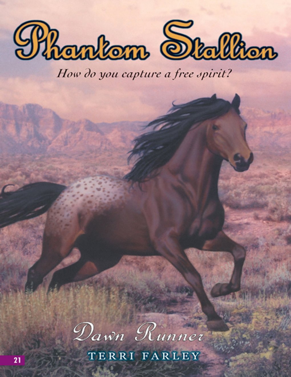 Cover of Dawn Runner