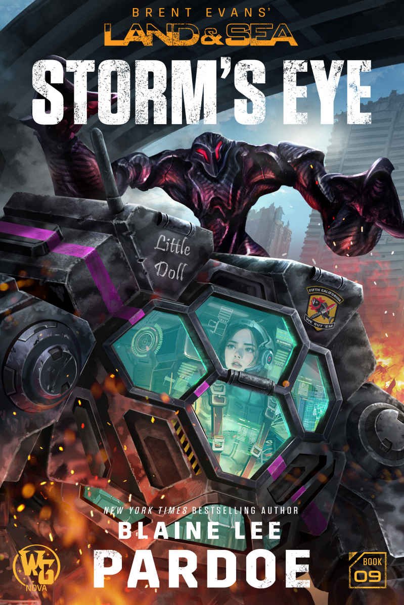 Cover of Storm's Eye