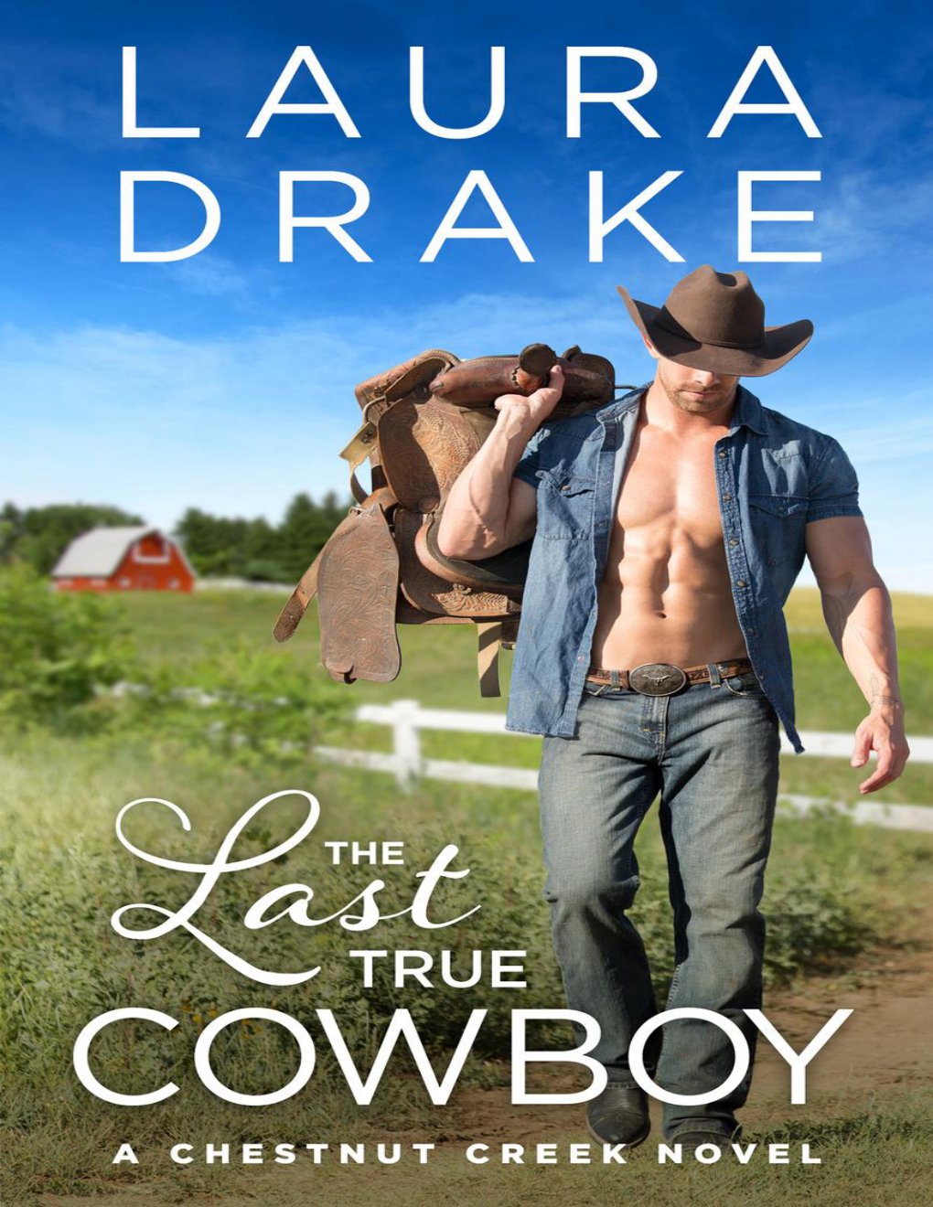 Cover of The Last True Cowboy