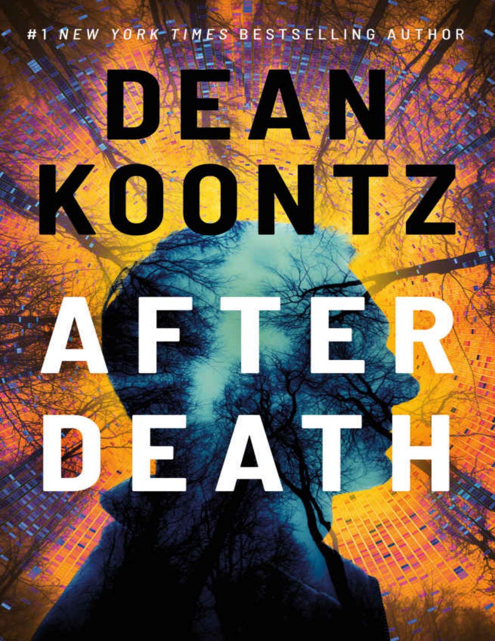 Cover of After Death
