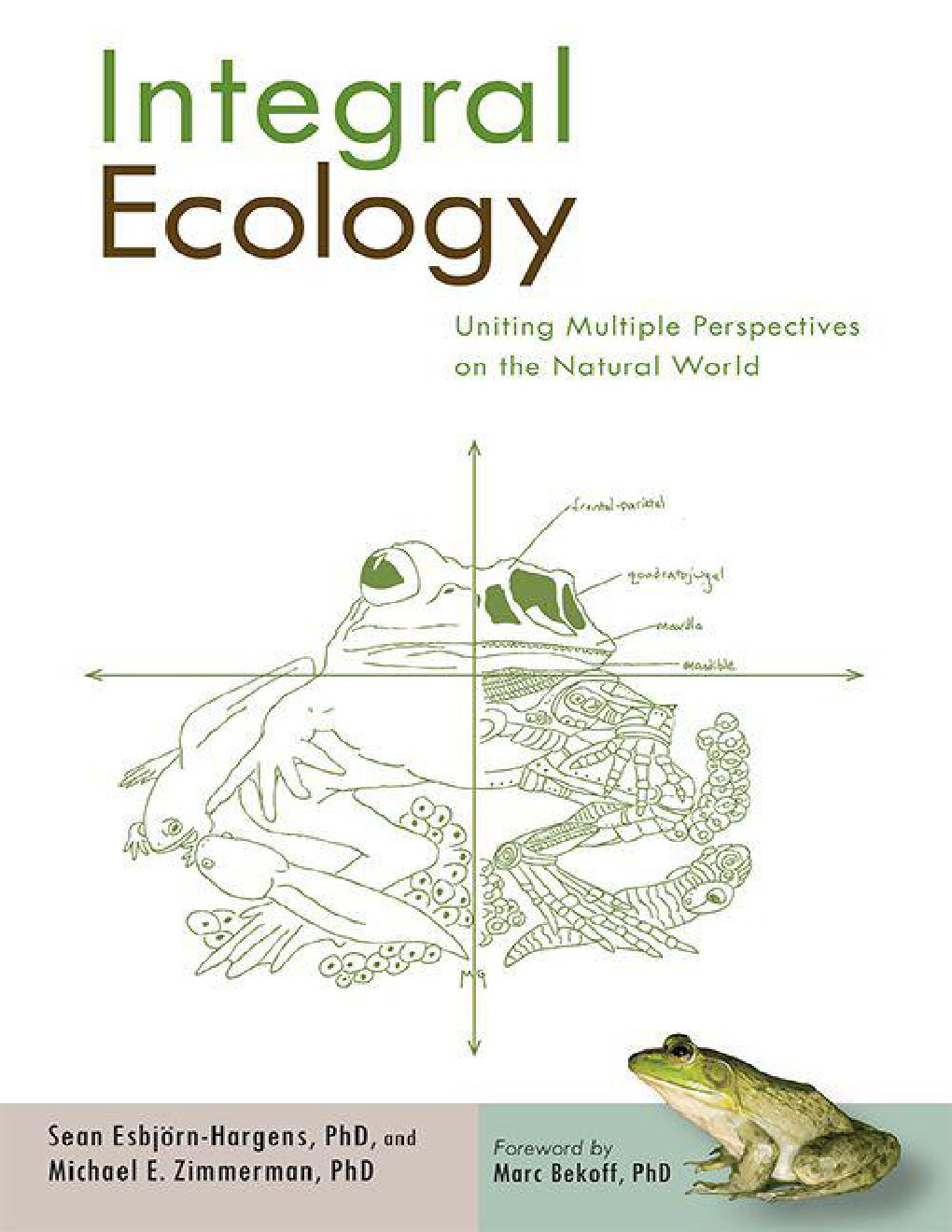 Cover of Integral Ecology: Uniting Multiple Perspectives on the Natural World