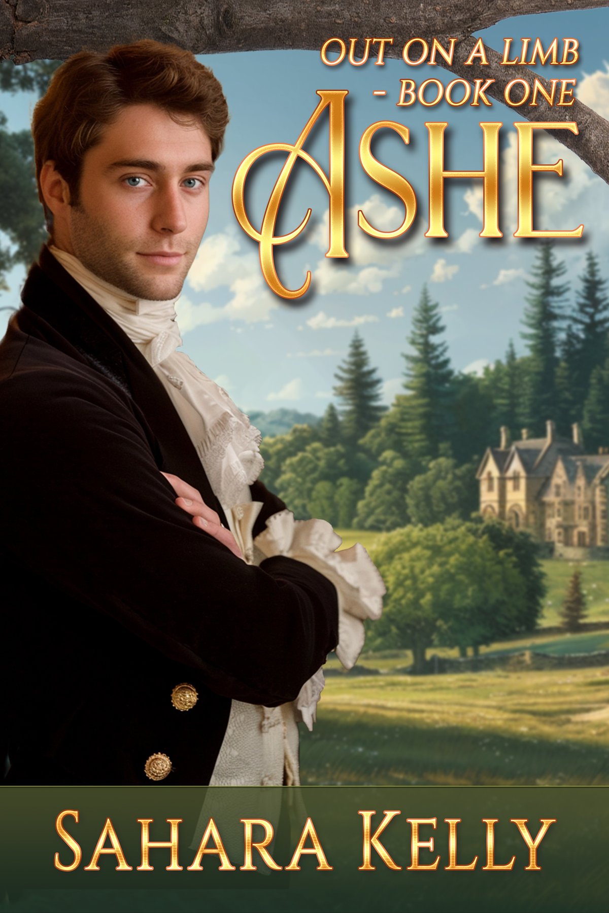 Cover of Ashe (1930)
