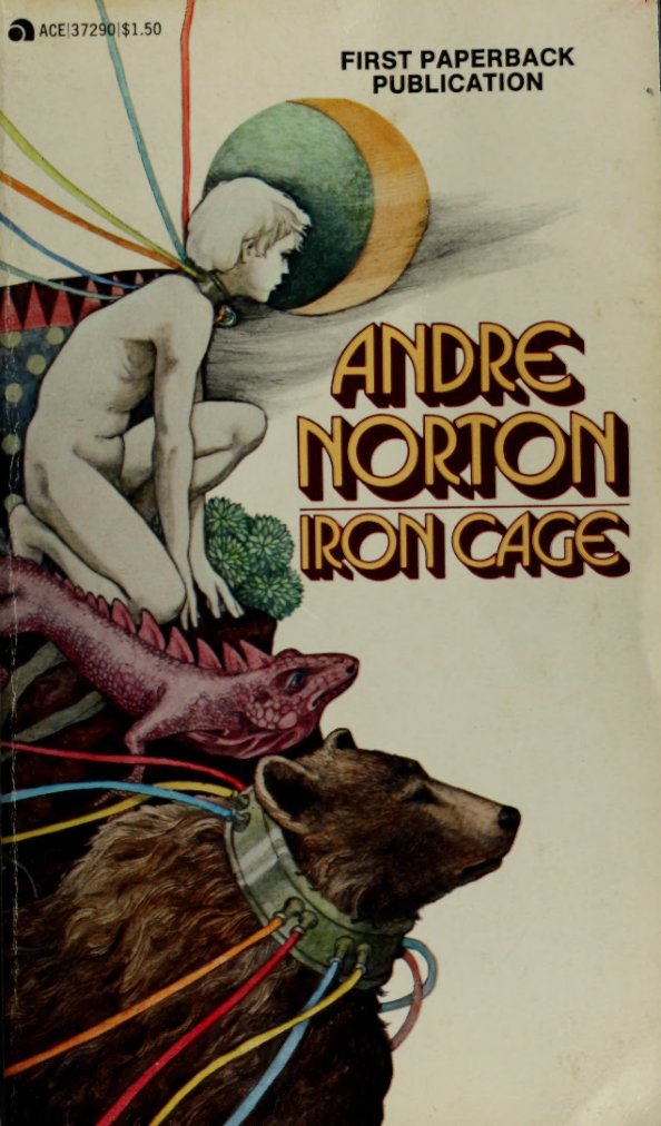 Cover of Iron cage