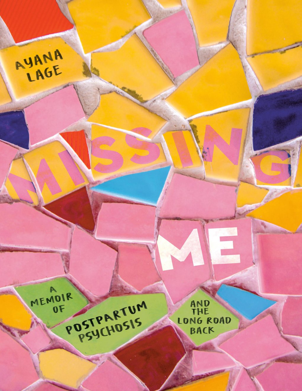 Cover of Missing Me