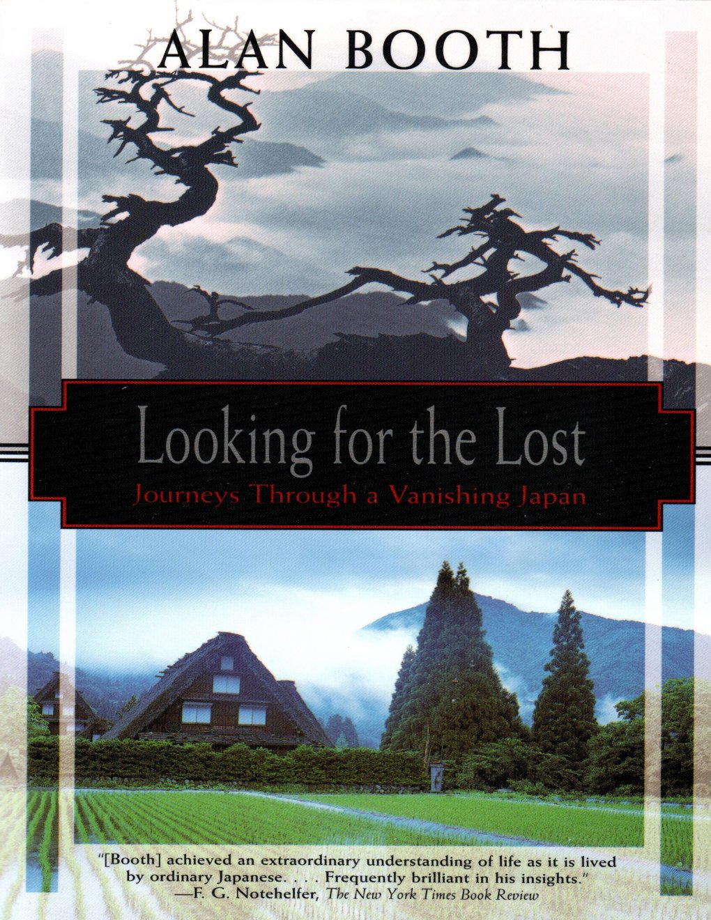 Cover of Looking for the Lost (1914)