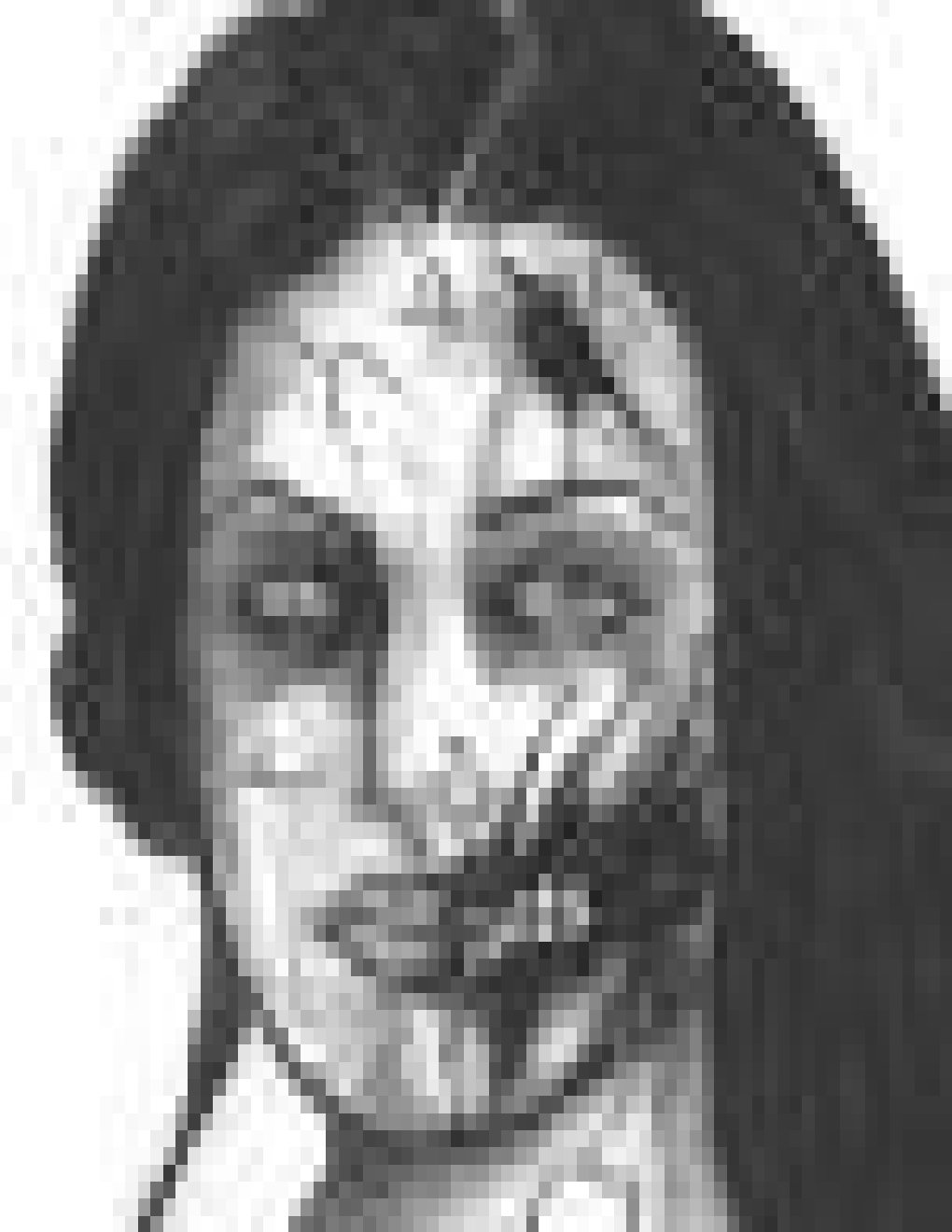 Cover of Zombie Fallout 3: The End