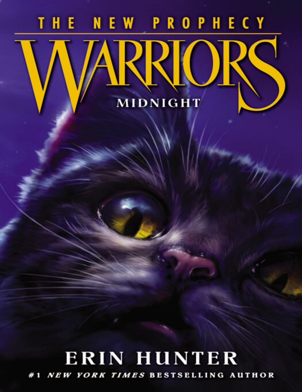 Cover of Midnight