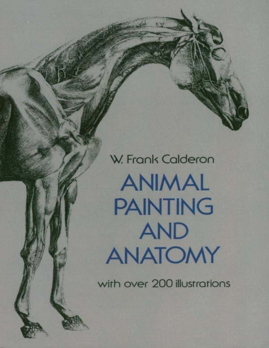Cover of Animal Painting and Anatomy