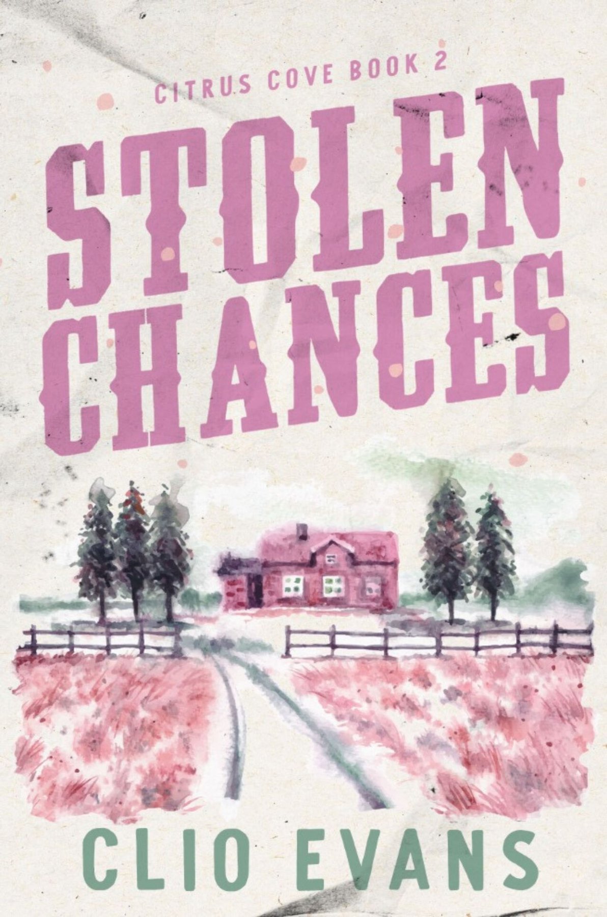 Cover of Stolen Chances- A Single Mom, MMF, Small Town Romance Suspense (2024)