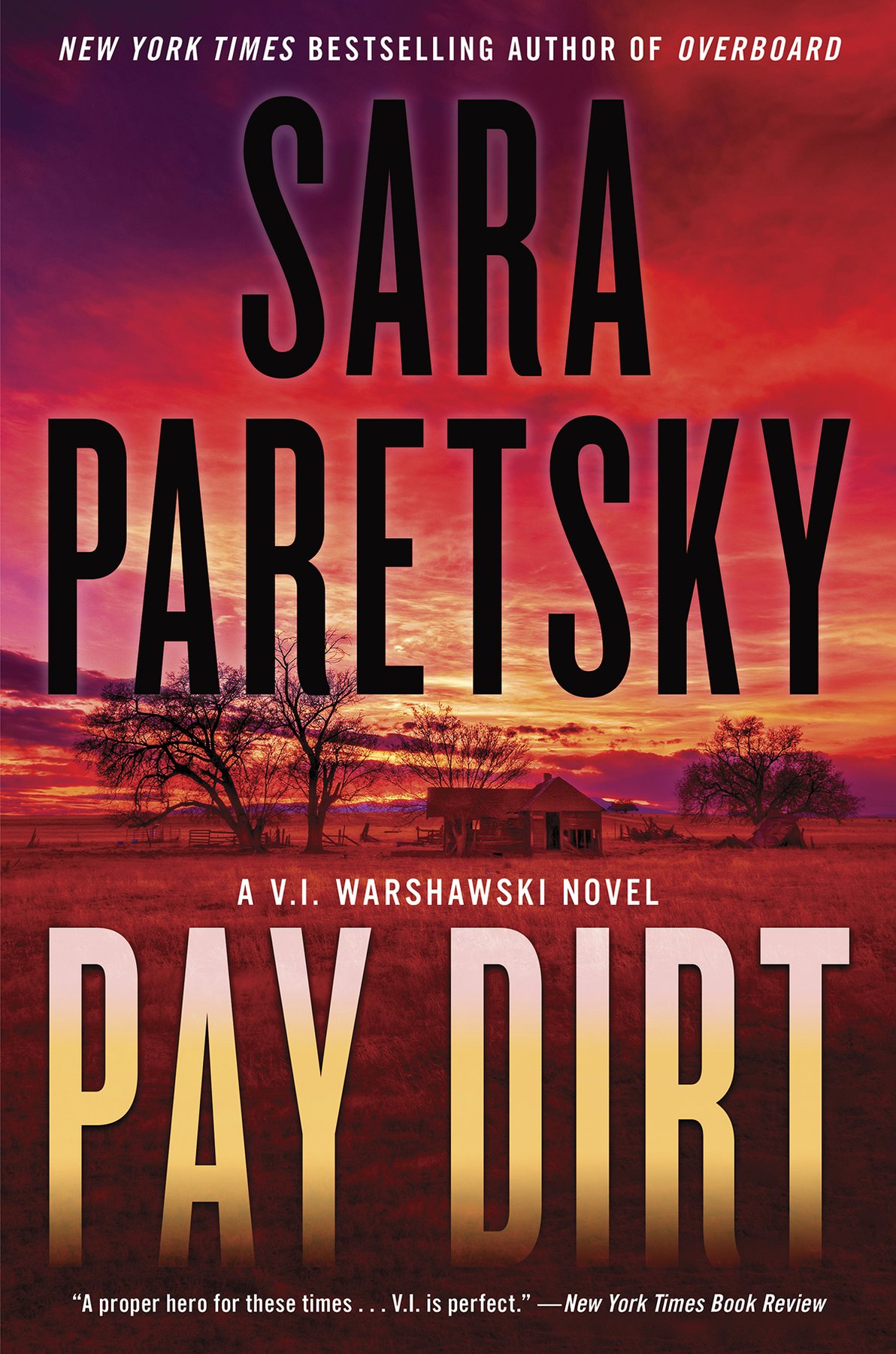 Cover of Pay Dirt (2024)