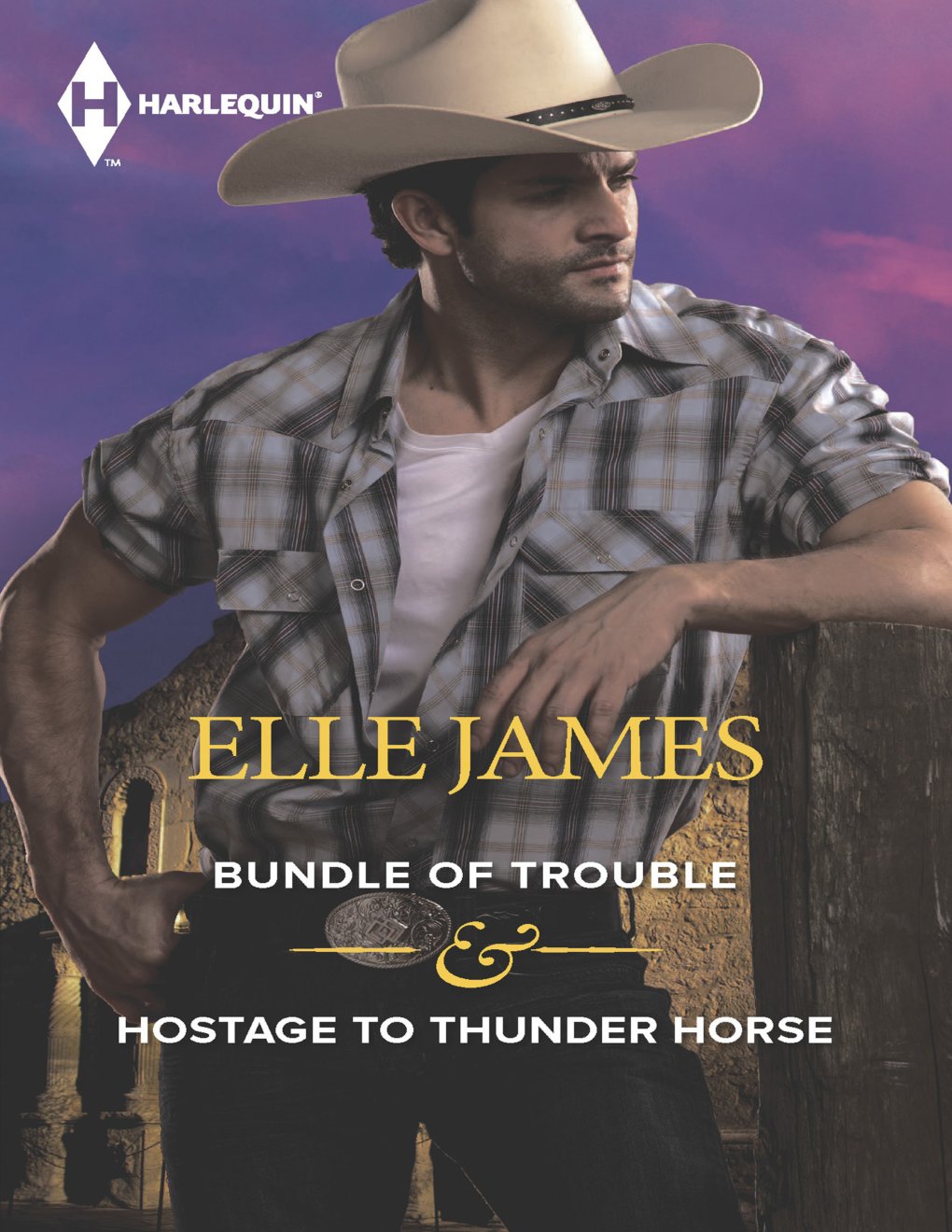 Cover of Bundle of Trouble & Hostage to Thunder Horse
