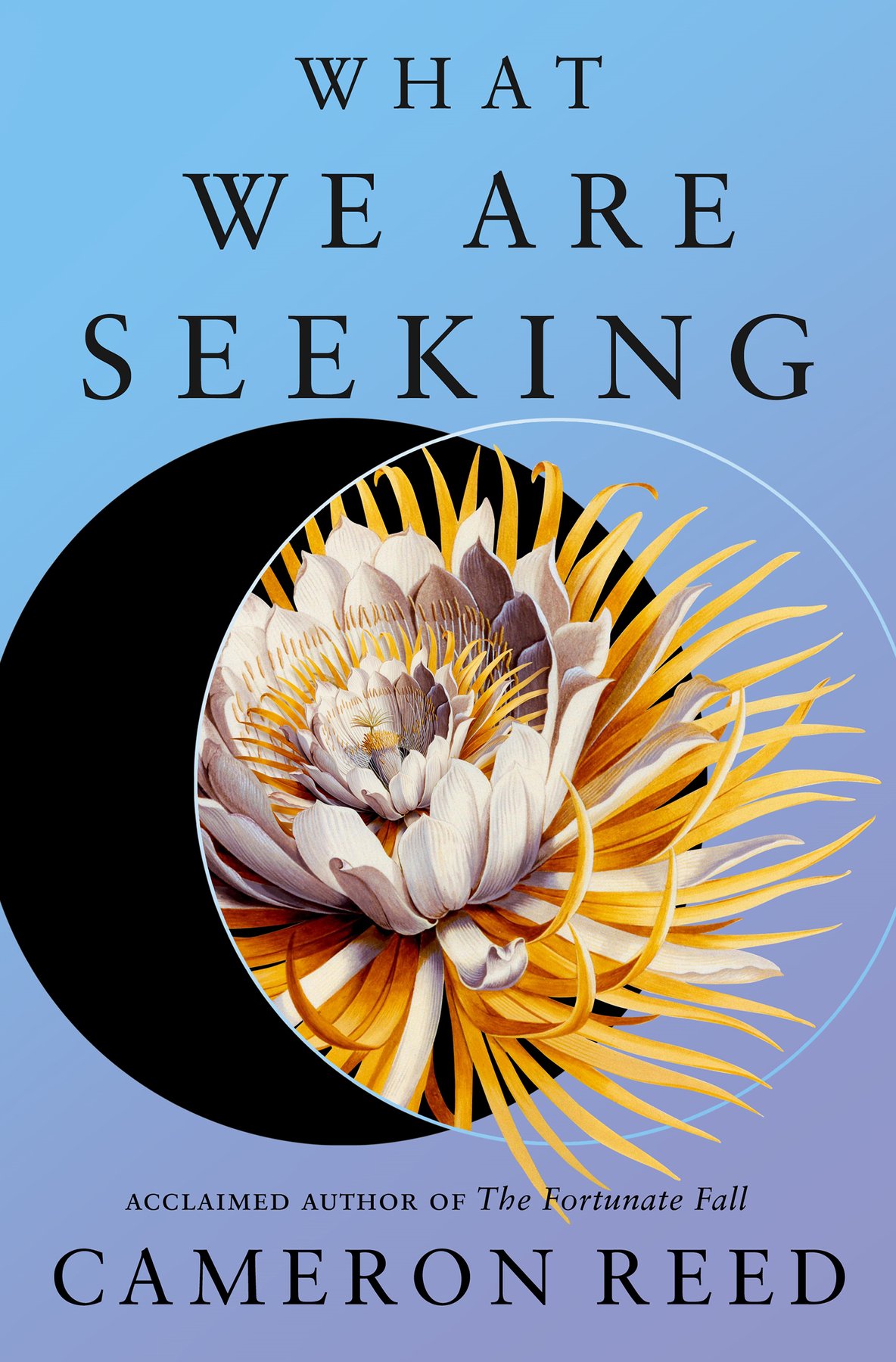 Cover of What We Are Seeking