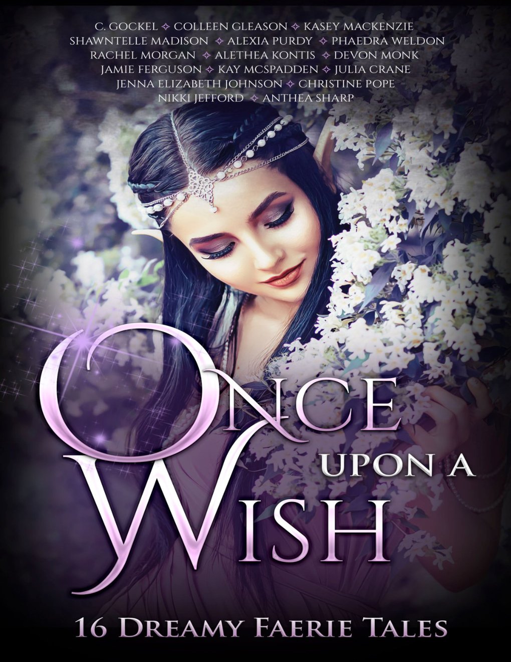 Cover of Once Upon a Wish