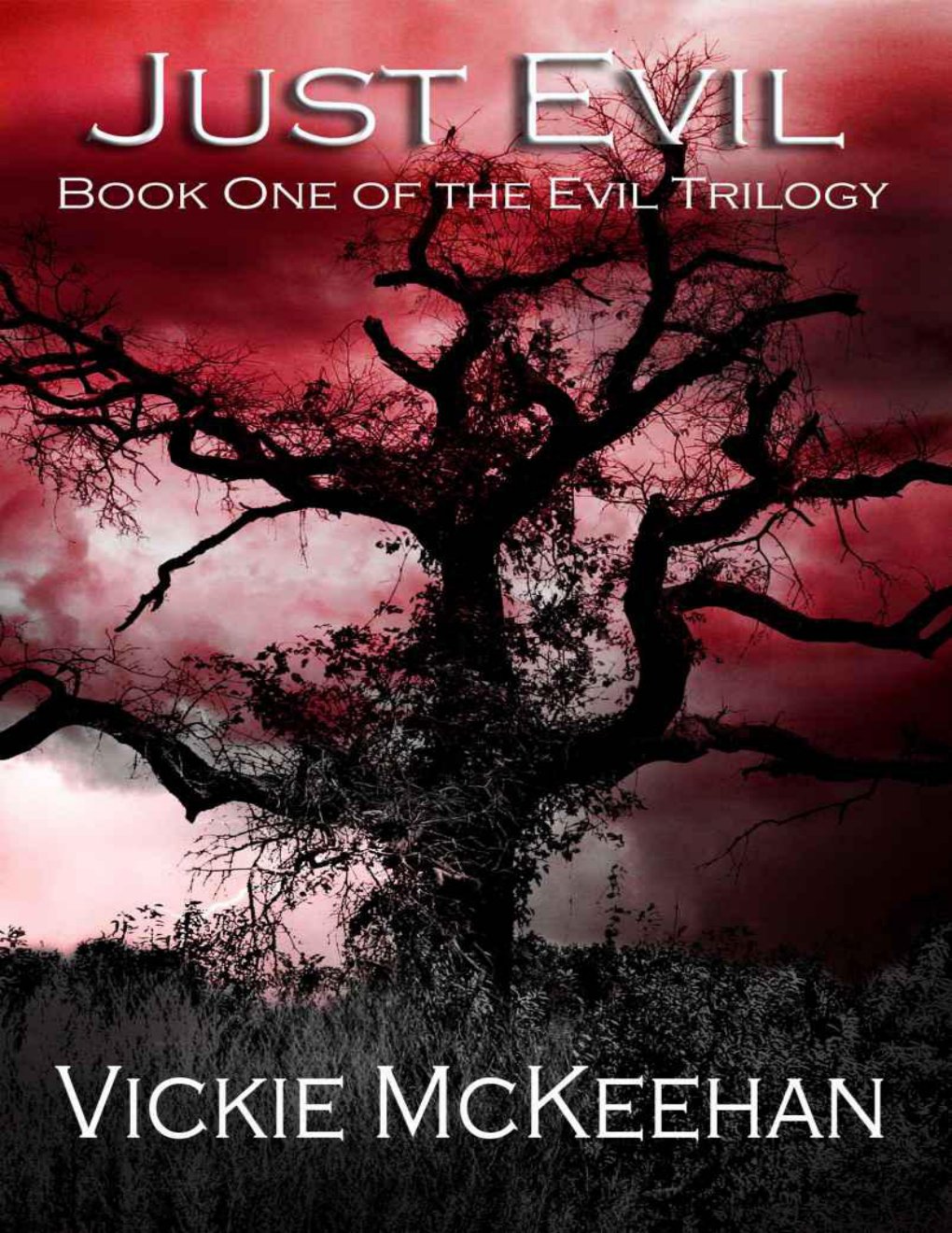 Cover of Just Evil (2007)