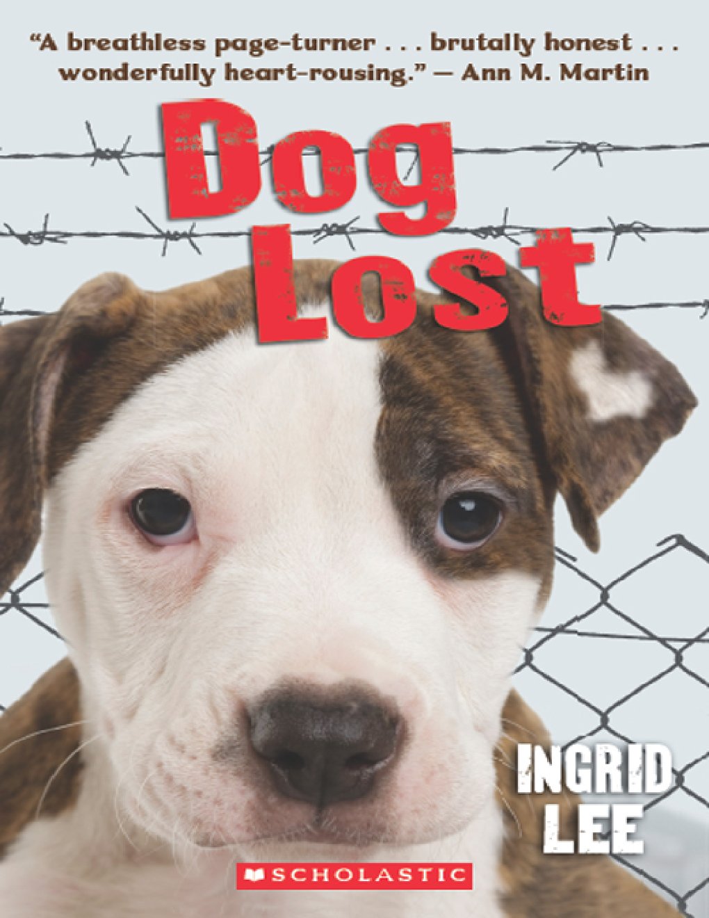 Cover of Dog Lost