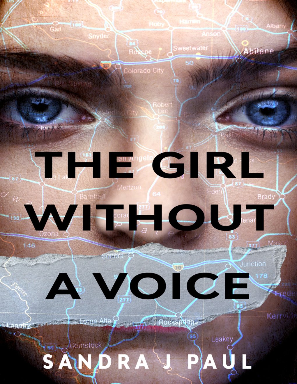 Cover of The Girl Without a Voice