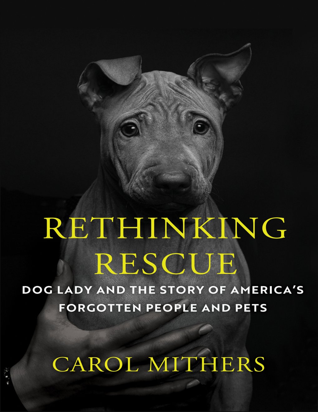 Cover of Rethinking Rescue