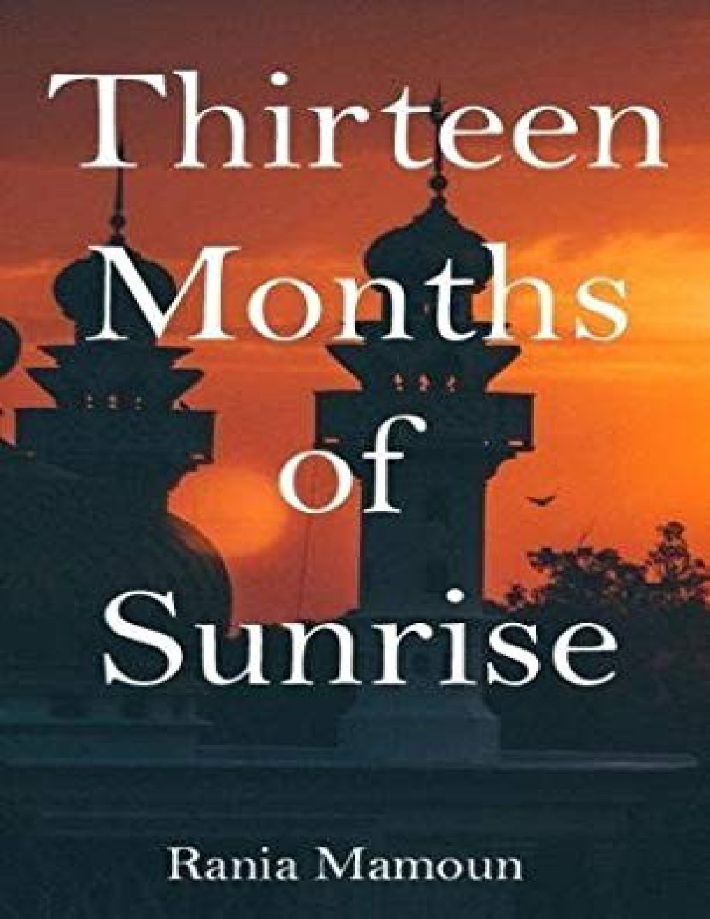 Cover of Thirteen Months of Sunrise (1979)