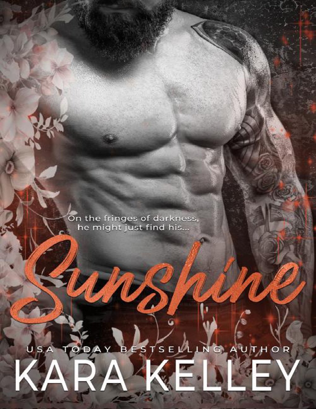 Cover of Sunshine (On the Fringes Duet Book 2)
