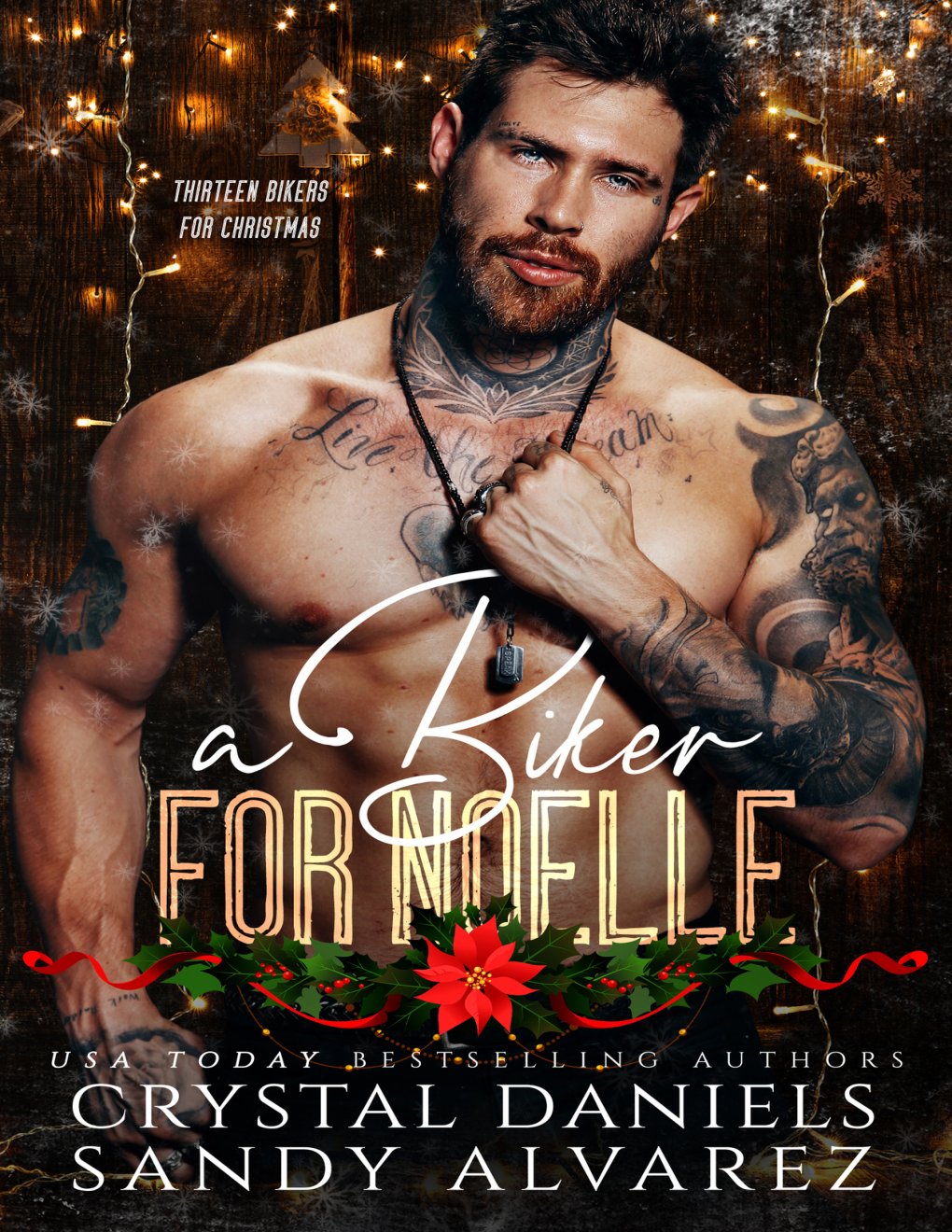 Cover of A Biker for Noelle (2024)