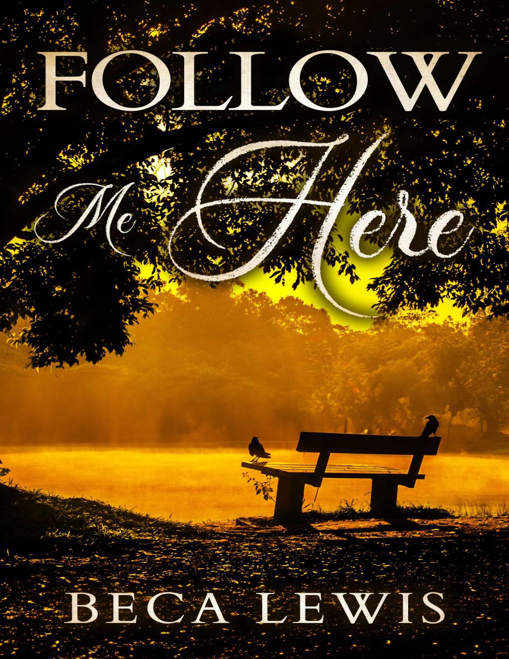Cover of Follow Me Here