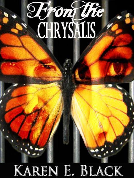 Cover of From the Chrysalis- a novel (1818)