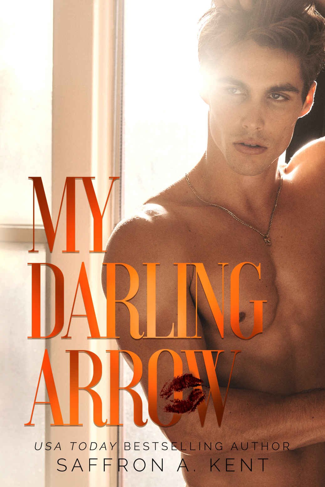 Cover of My Darling Arrow