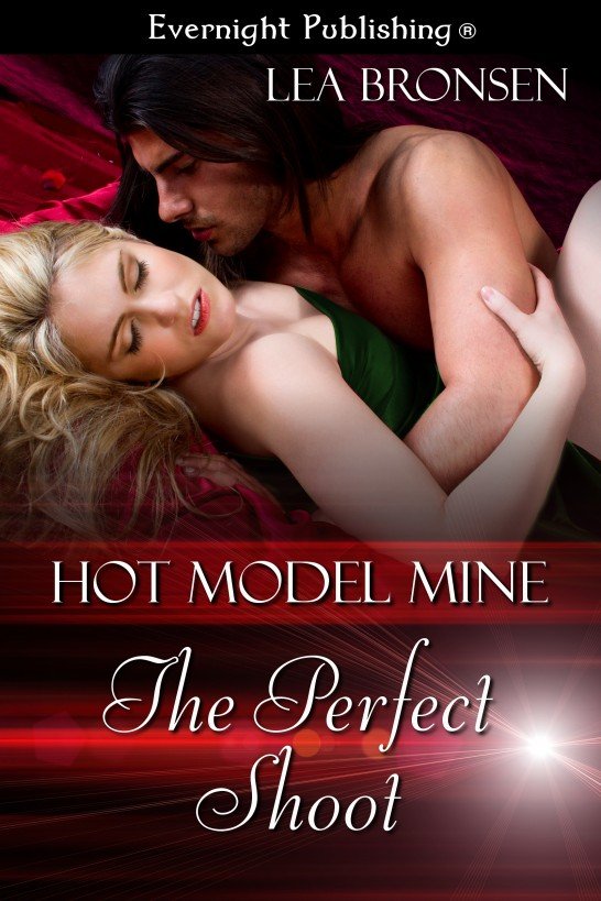 Cover of The Perfect Shoot