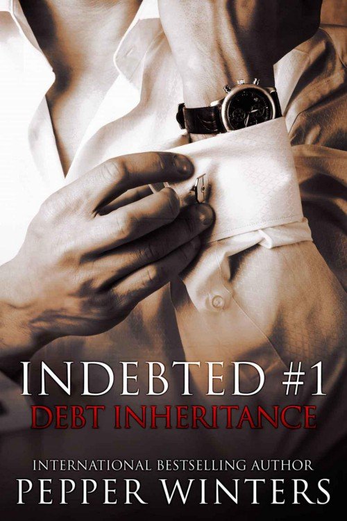 Cover of Debt Inheritance