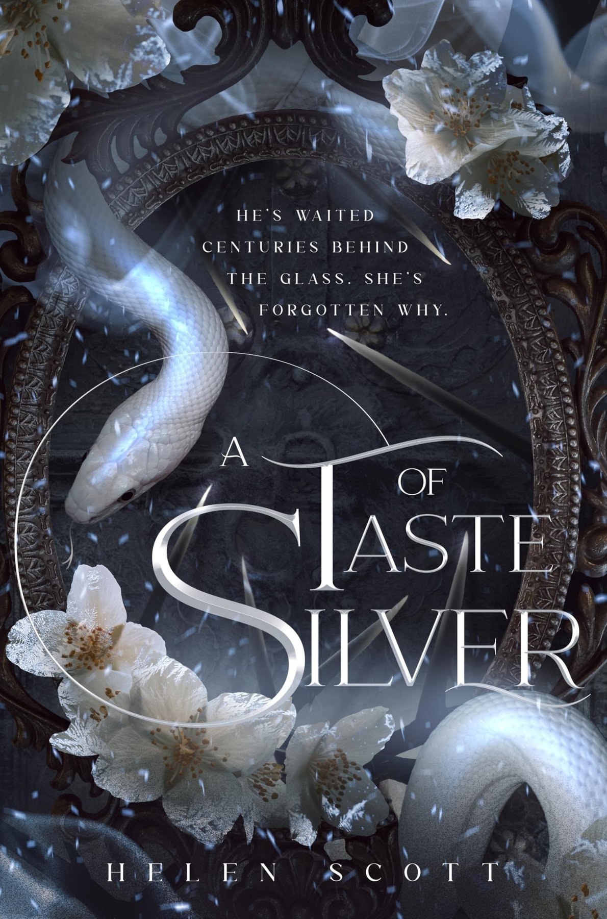 Cover of A Taste of Silver (2025)