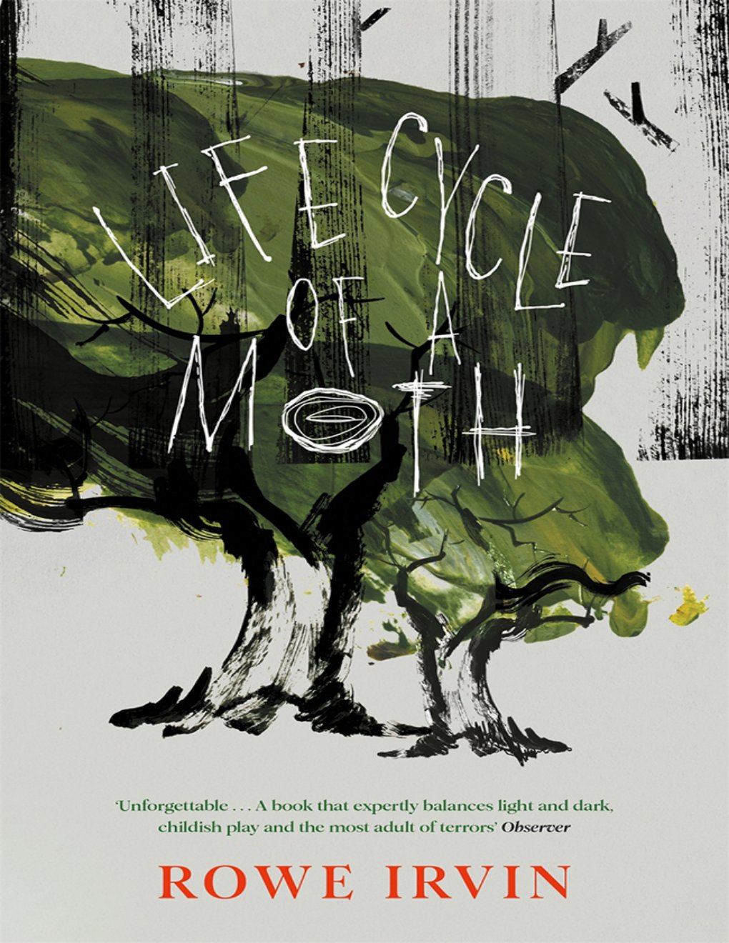 Cover of Life Cycle of a Moth