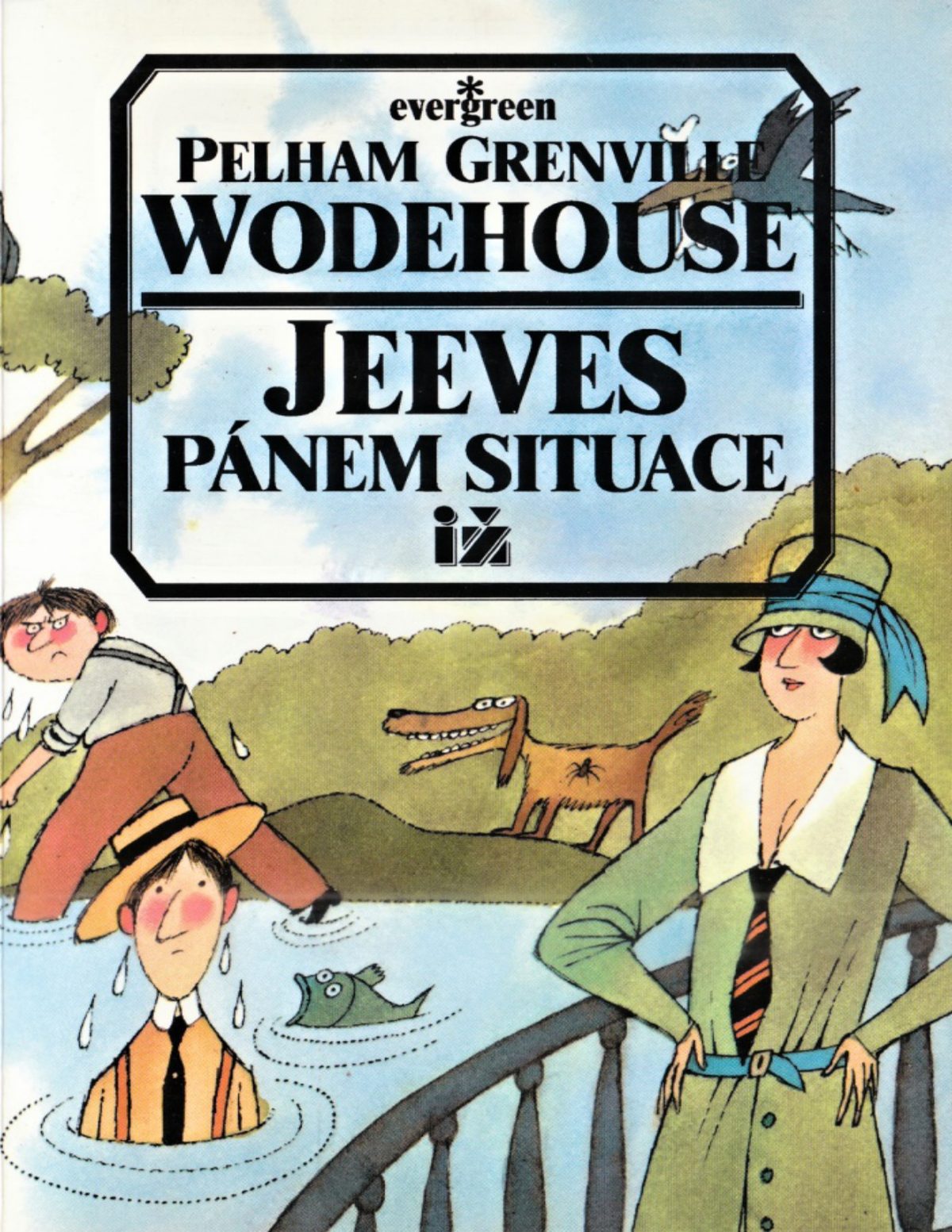 Cover of Jeeves pánem situace (1995)