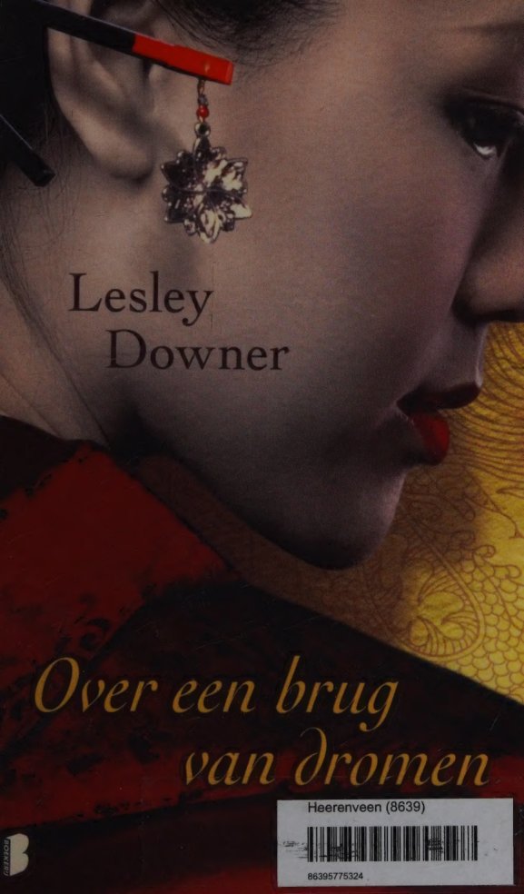 Cover of Over een brug van dromen
