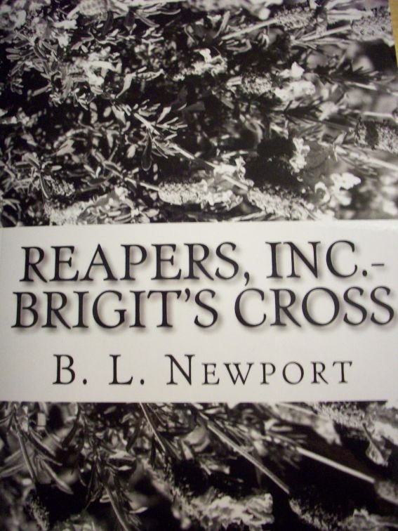Cover of Brigit's Cross (2010)