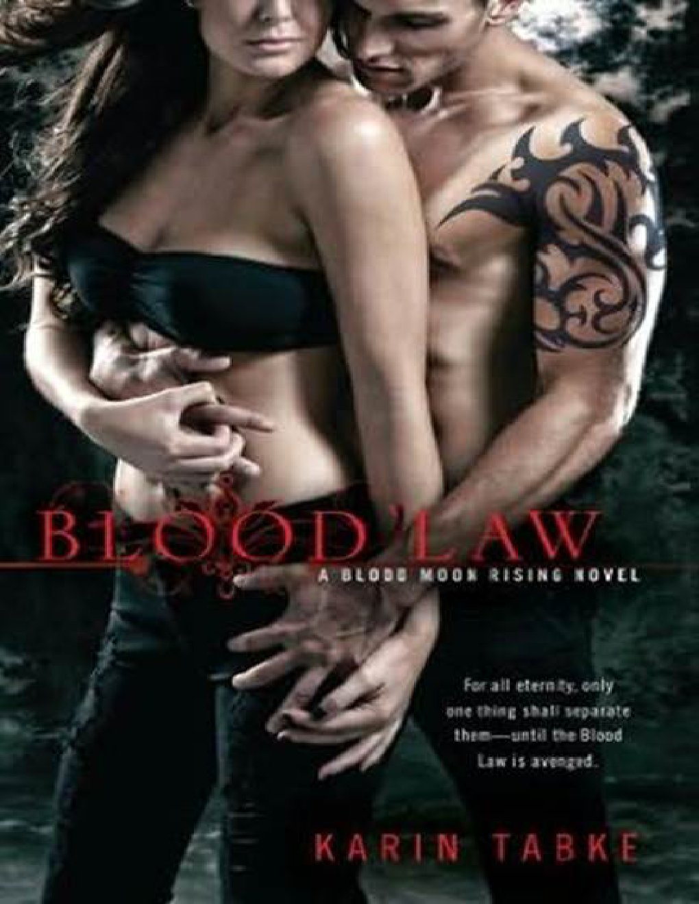 Cover of Blood Law