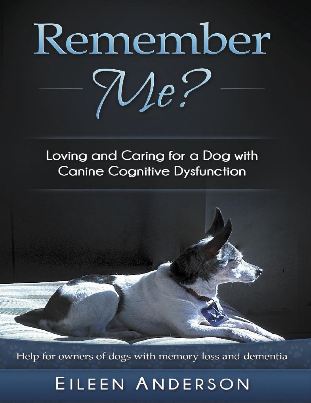 Cover of Remember Me epub to sell Eileen Anderson